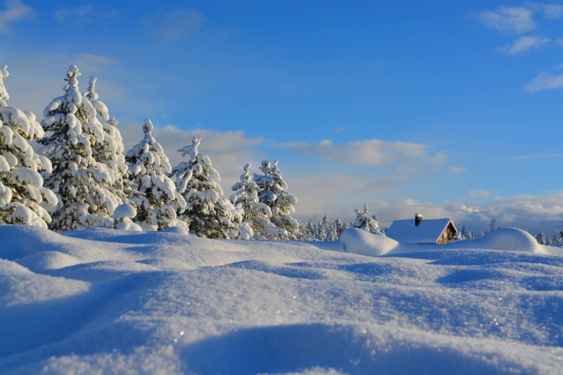 Welcome to Winterworld.co